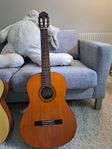 Gitarr Eterna EC-12 Yamaha