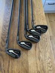 Clevand Black 6-p Dam/Junior