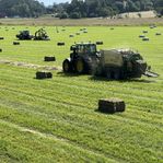 Hösilage, olika kvalitet och prislägen
