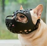 Munkorg bulldog