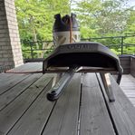 Ooni pizzaugn