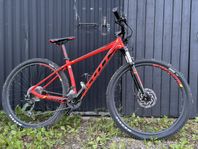 Scott scale 29 Medium