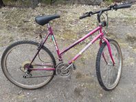 Mountainbikes 26 Dam/Herr