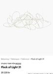 Flock of Light 31 - Mooi