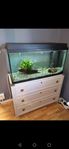 Komplett akvarium