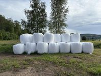 torrt hösilage