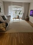 Classic Colletion Solid ullmatta / Off White 250x350