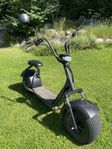 Fatbike ”Harley” 1500 w