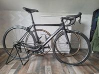 Principia Evolve Carbon stl 51