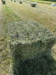 Analyserat hö/hösilage i fyrkantsbal till tävlingshästar