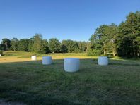 Hö Hösilage ensilage förstaskörd rundbal 2025