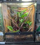 Exo terra 45x45x60 
