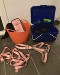 häst och ryktsaker 
