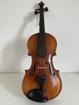 Violin tidigt 1900 tal
