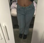  Dickies jeans