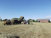 Hö, hösilage och havrehalm.