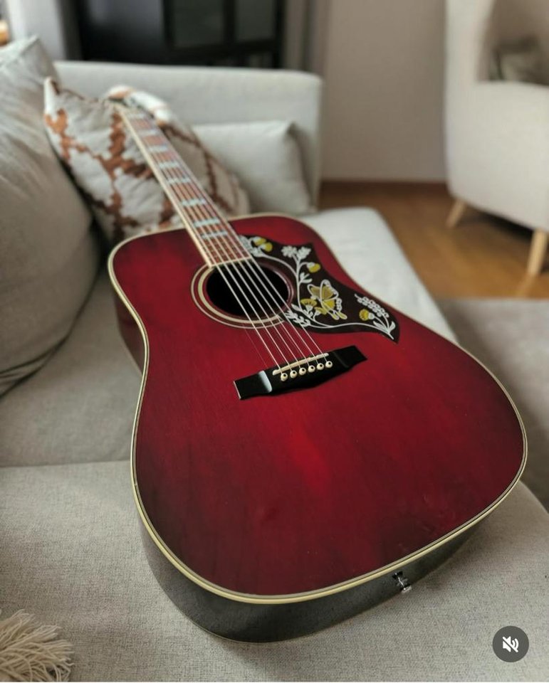 Ibanez F-300 