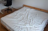 Complete Bed Set – Only 250 kr!