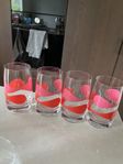 4 st Boda Nova glas