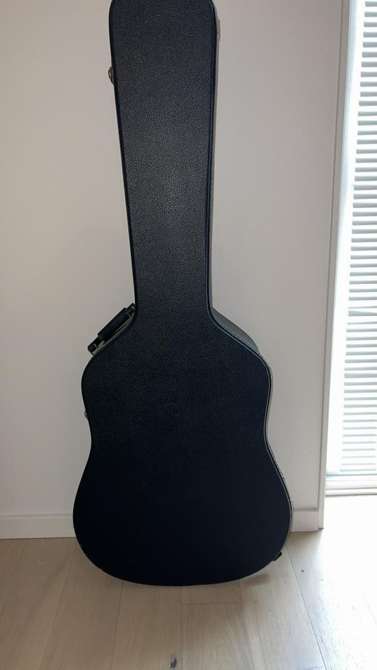 Martin DRS2 akustisk + El Git...