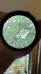 Leupold European-30 (30mm tub), 3-9x40, (cm klick).