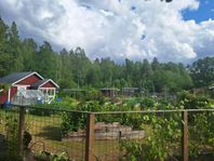 Kolonilott i Fällan