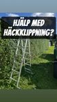 Hjälp med häckklippning 