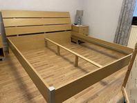 Sängstomme