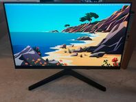 Samsung Essential LS24C310 24″ bildskärm