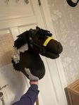 käpphästar