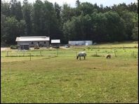 Stallplats ledig i Kylinge