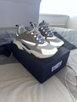 Dior b22s 