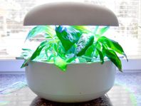 Plantui Smart Garden 6, inomhusodling