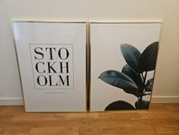 Posters samt ramar 70×50 cm