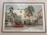 YellowKorner print