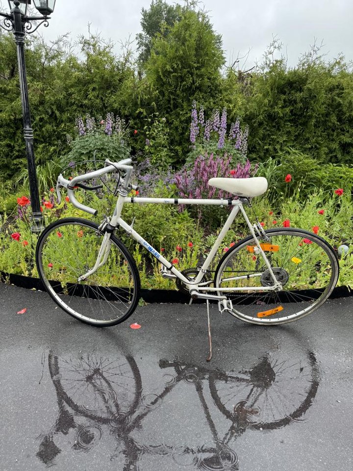 monark 10 vxl  