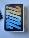 iPad mini (2021) 256 GB 5G (starlight)