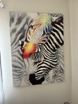 vackra zebra canvas tavla fr mio