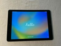 Ipad 5th Gen, 32GB, Grå