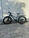 Scott Roxter 20 tum