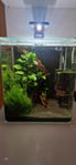 nano 30 liter