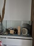 Hamsterbur 