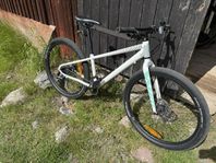 Mountainbike