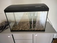 akvarium