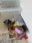 hamstersaker