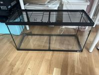 hamster bur