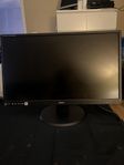 Iiyama monitor