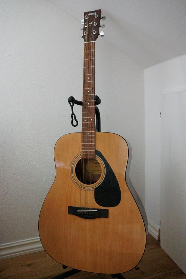 Yamaha F310