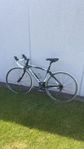 Bianchi Via Nirone 7