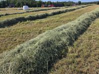 Hösilage 2025